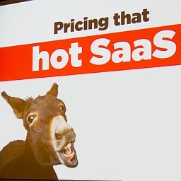 SaaS and the art of software pricing